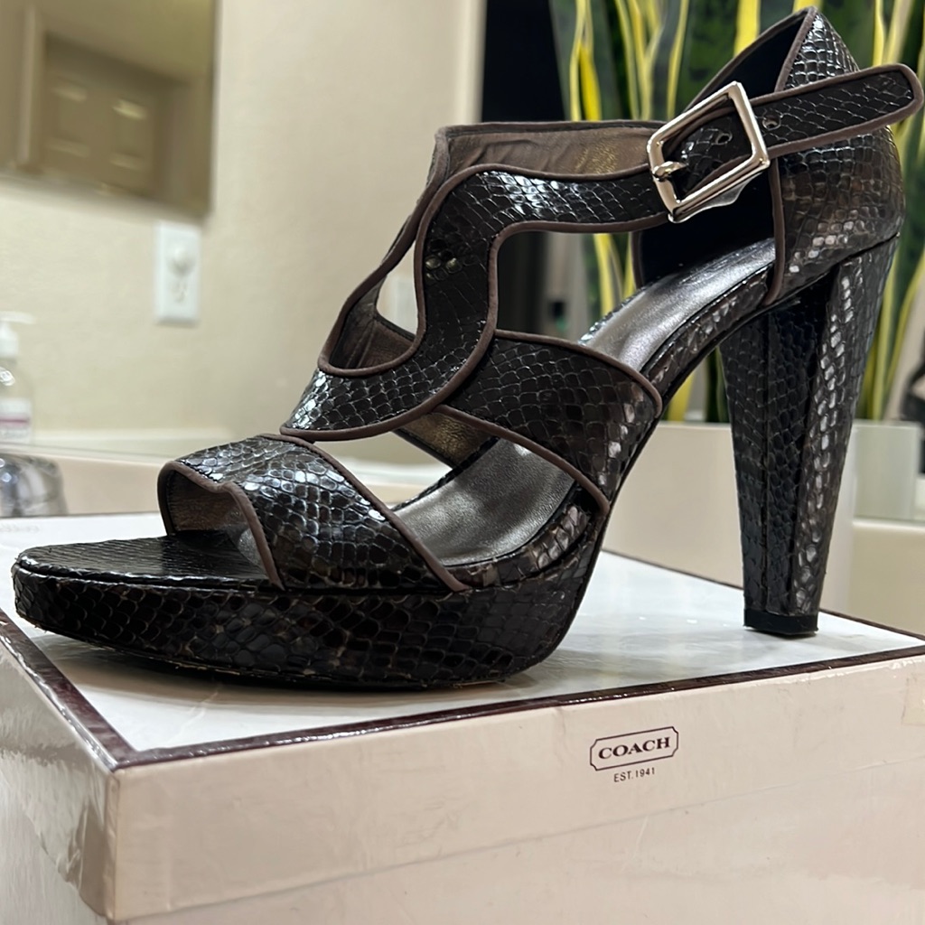 Coach Ivanah Python Shoes